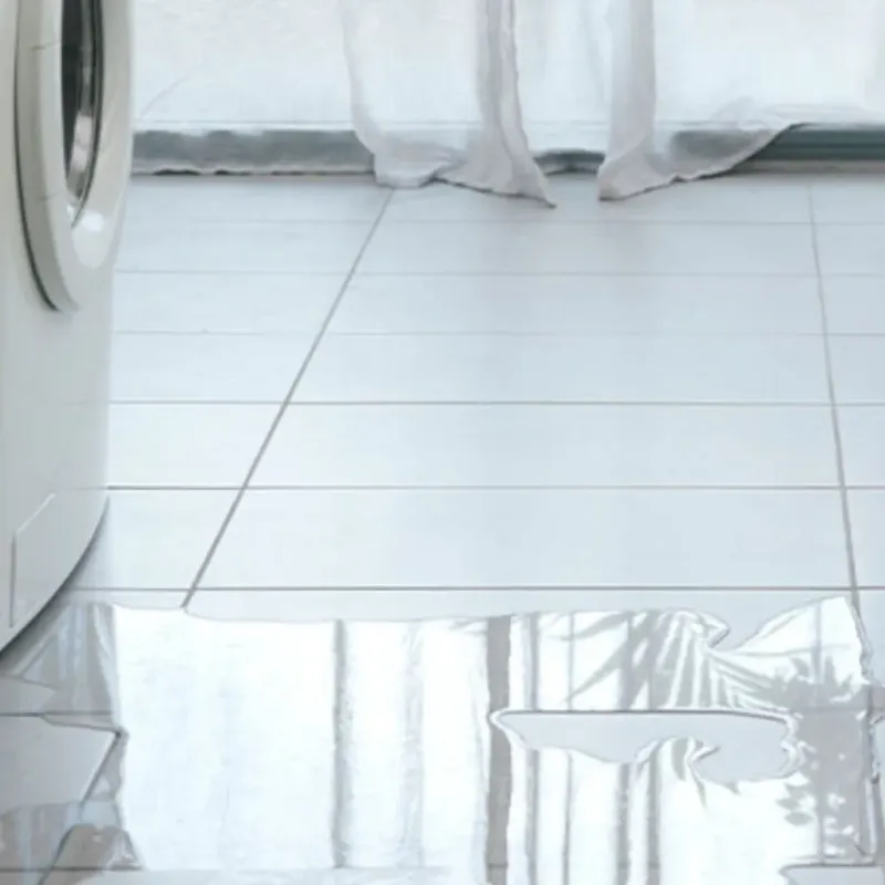 Appliance Leak Cleanup in Fayette County, TN