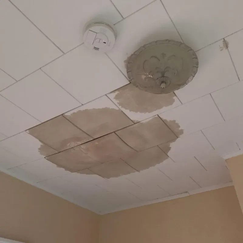 Ceiling Water Damage Repair in Fayette County, TN