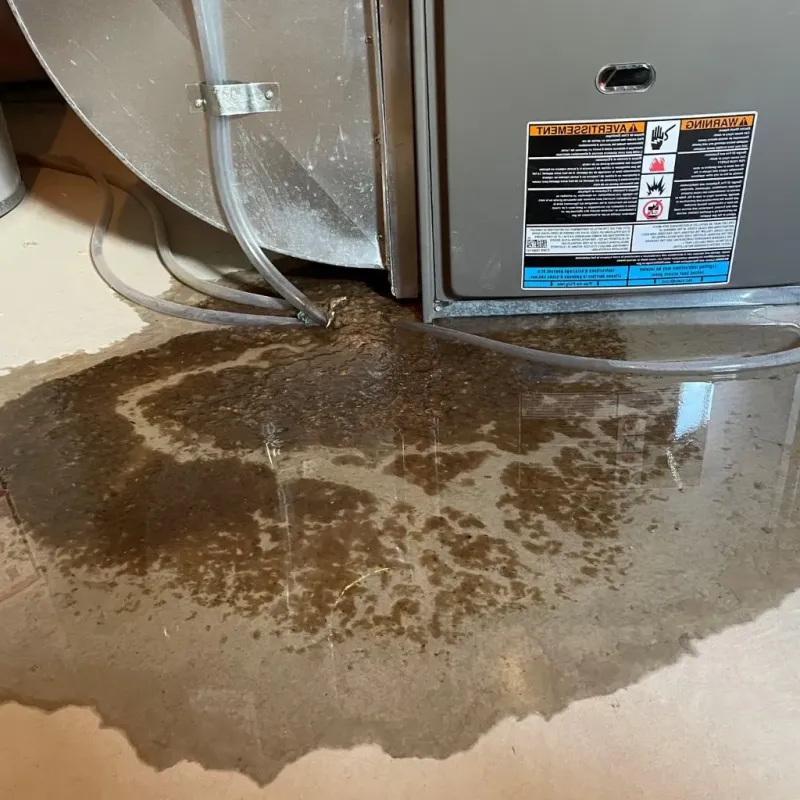 Pipe Burst and Leak Restoration in Fayette County, TN