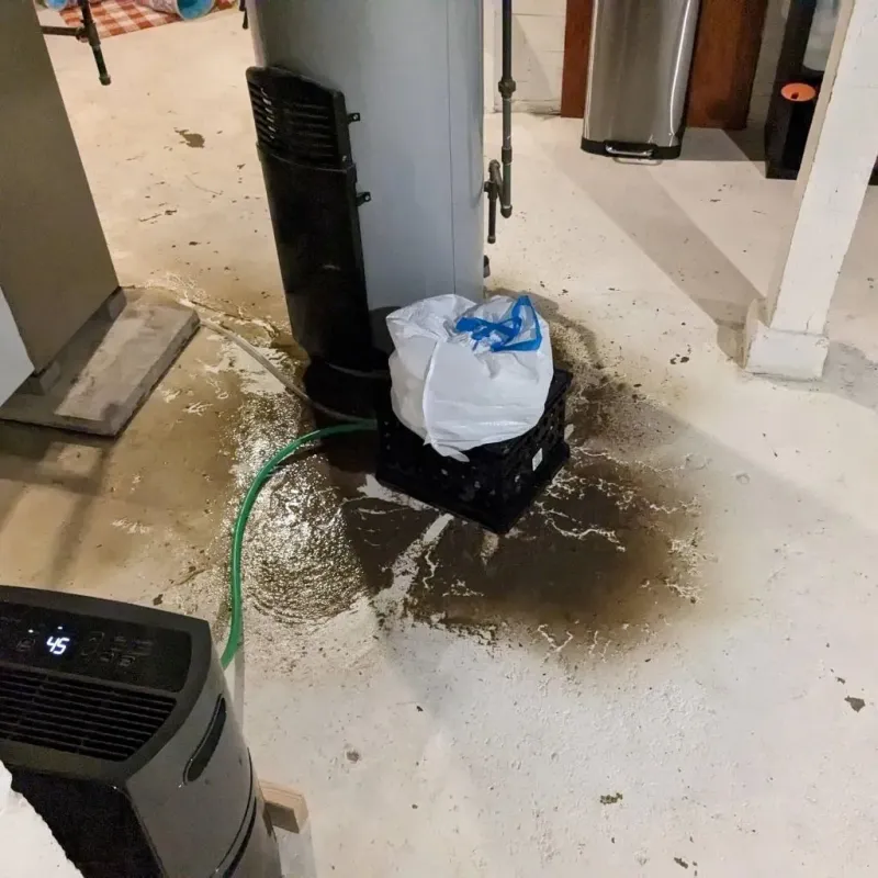 Sewage Backup Cleanup Service in Fayette County, TN